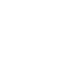 PERCEPTOR_LOGO_NEG